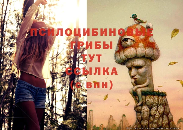 MDMA Premium VHQ Армянск