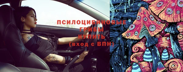 экстази Арсеньев
