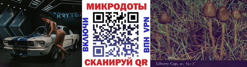Галлюциногенные грибы MAGIC MUSHROOMS  мега сайт  Устюжна  как найти закладки 